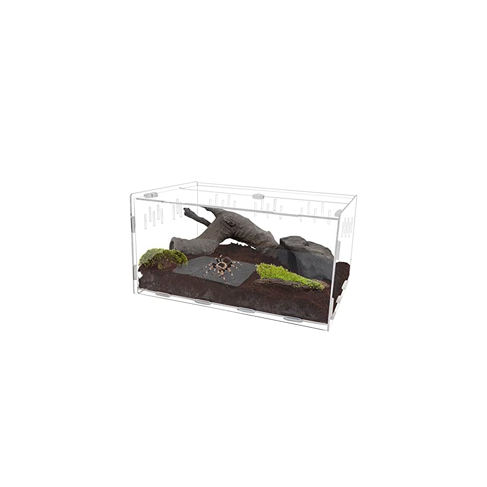 winemana Reptile Terrarium, Tarantula Enclosure, 16" x 11" x 6" Acrylic Large Feeding Tarantula Habitat Box for Small Animals Insect Home Office