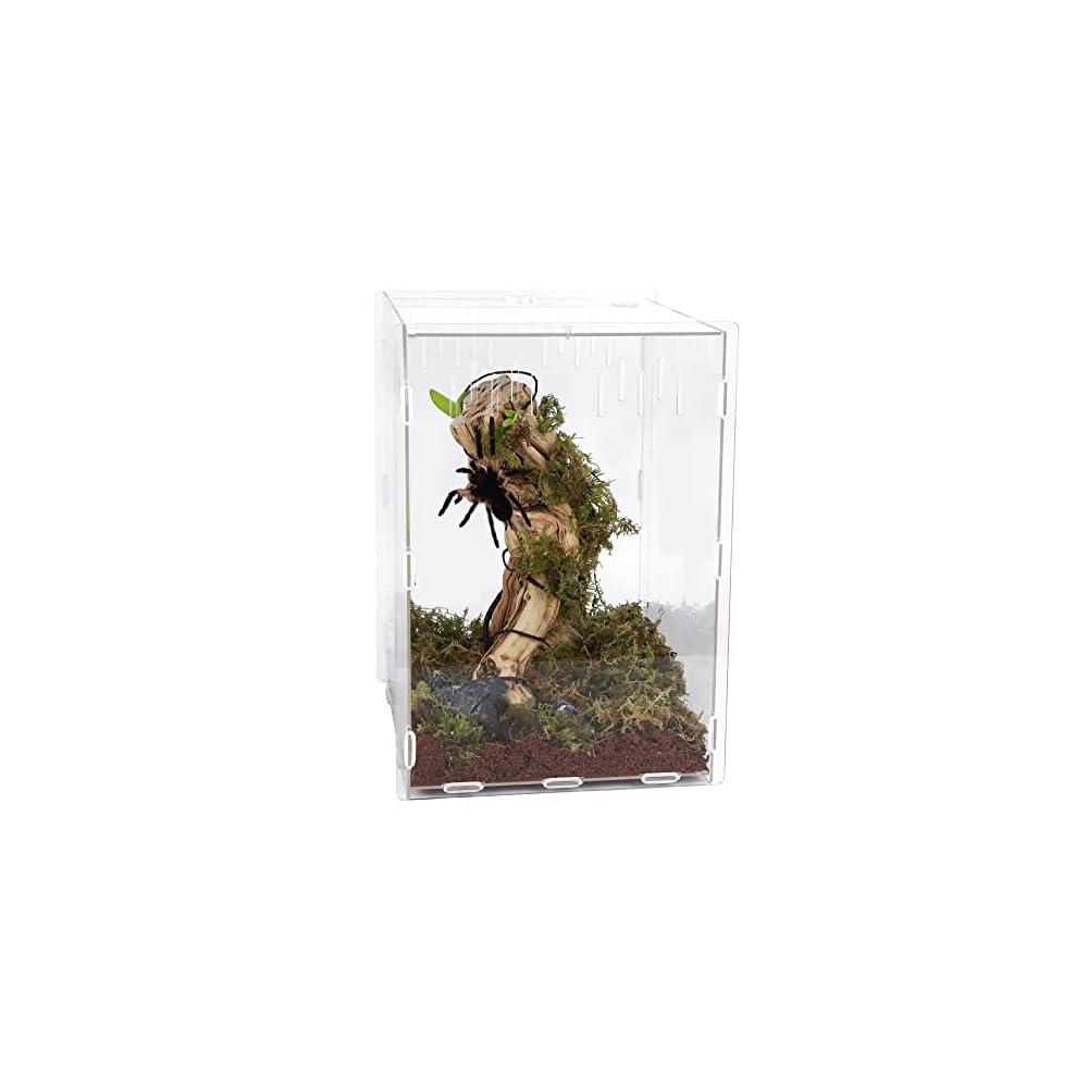 winemana Reptile Terrarium Aquarium Breeding Tank, 14.5" x 10.5" x 10" Acrylic Tarantula Enclosure Feeding Box Insect Habitat for Tarantula Spider Snake Lizard Hermit Crab Insect