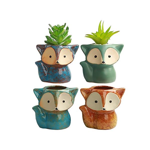 winemana Set of 4 Germination Trays Succulent Pots, Fox Shaped Flowerpot, Colorful Bonsai Planter Container