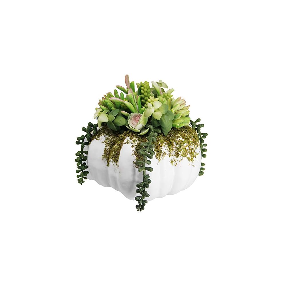 winemana Thanksgiving Decorations Pumpkin with Artificial Succulents, 8.8" x 8.2" White Foam Pumpkin and Plastic Succulents Fall Autumn Decor for Office Bedroom Kitchen Thanksgiving Party Harvest Day