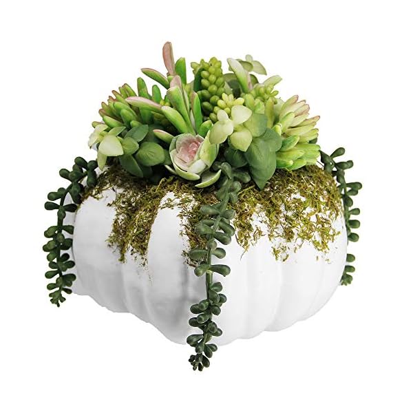 winemana Thanksgiving Decorations Pumpkin with Artificial Succulents, 8.8" x 8.2" White Foam Pumpkin and Plastic Succulents Fall Autumn Decor for Office Bedroom Kitchen Thanksgiving Party Harvest Day