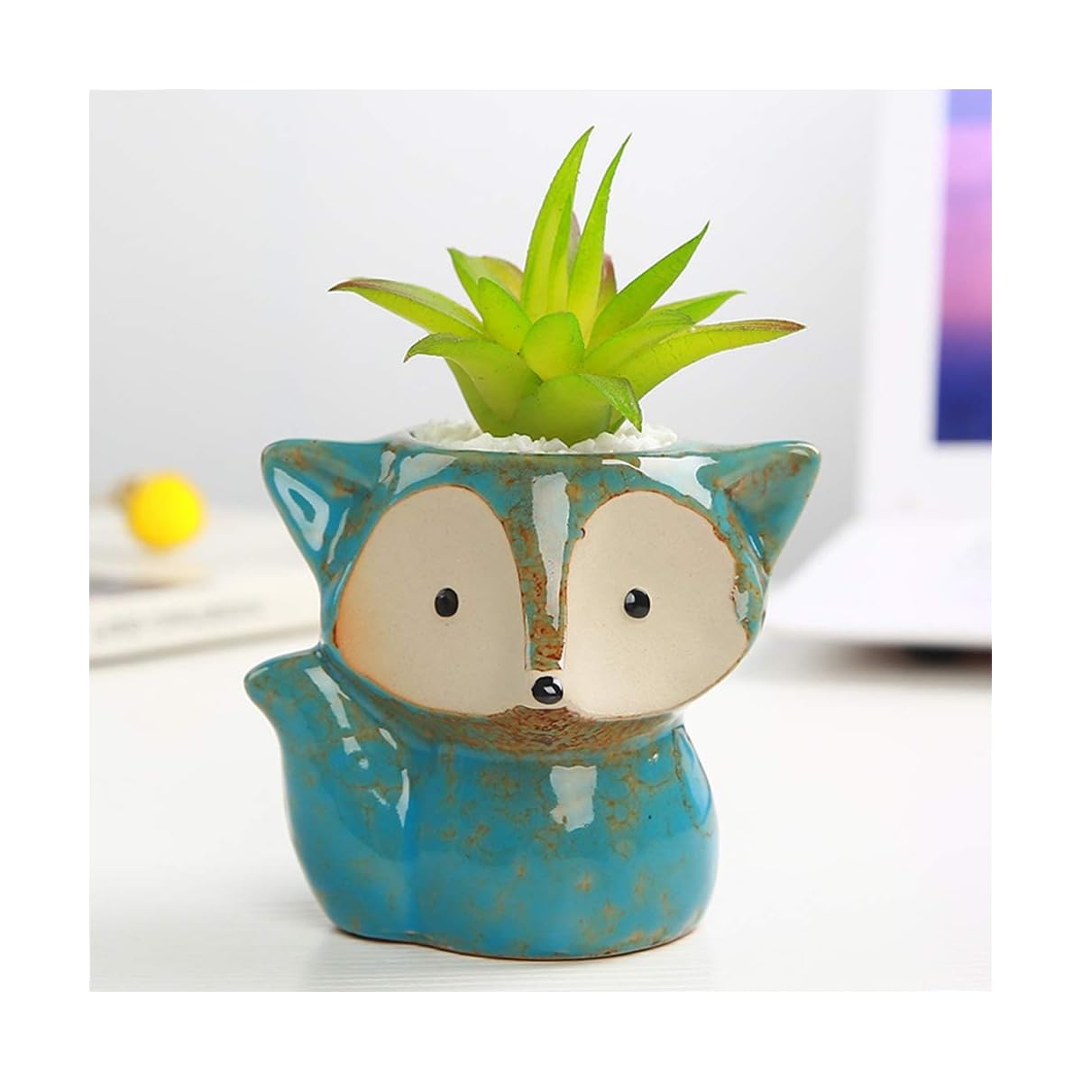 winemana Set of 4 Germination Trays Succulent Pots, Fox Shaped Flowerpot, Colorful Bonsai Planter Container - imagem de detalhe 5