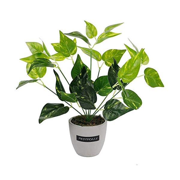 winemana 13.4 inches Artificial Potted Greenery Green Leaf Plants Small Plants for Office Desk Indoor Outdoor Decoration