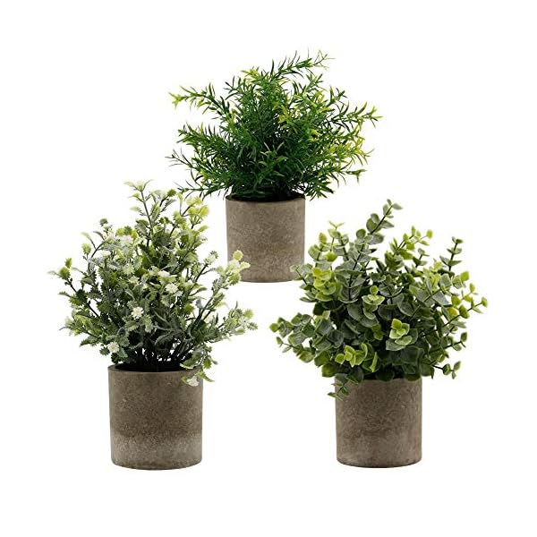 Zcaukya Small Potted Artificial Plants, Artificial Eucalyptus Plants Fake Rosemary 9.5" Plastic Greenery Plants for Home Office Garden Decor, Indoor & Outdoor, Set of 3 (White)