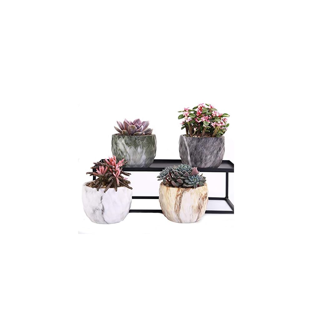 winemana Set of 4 Modern Style Marbling Ceramic Flower Pot Succulent Cactus Bonsai Planter Pots Container (Marbling Container)
