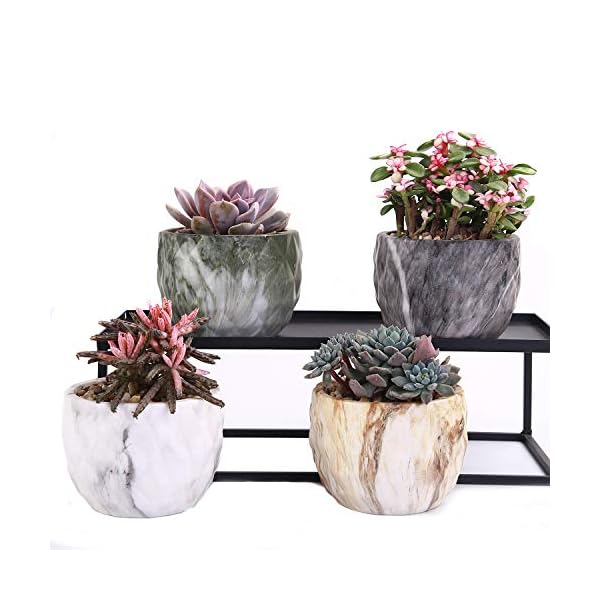 winemana Set of 4 Modern Style Marbling Ceramic Flower Pot Succulent Cactus Bonsai Planter Pots Container (Marbling Container)