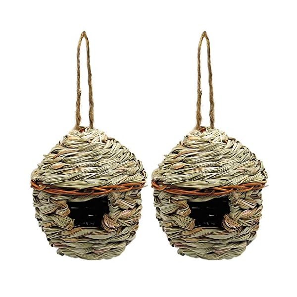 winemana Grass Hand Woven Birdhouse, Outside Grass Hanging Bird Hut, Natural Hummingbird Nest for Outdoor, 2 Pack (Reed)