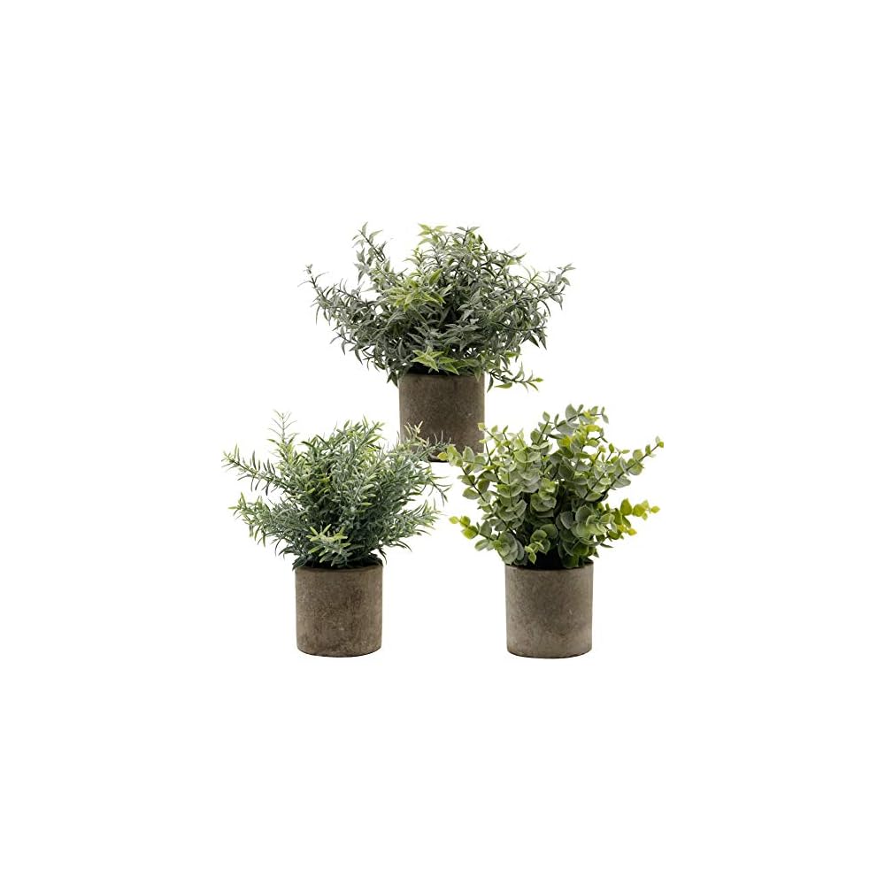Zcaukya Small Potted Artificial Plants, Artificial Eucalyptus Plants Fake Rosemary Carnation Caronation 9.5" Plastic Greenery Plants for Home Office Garden Decor, Indoor & Outdoor, Set of 3