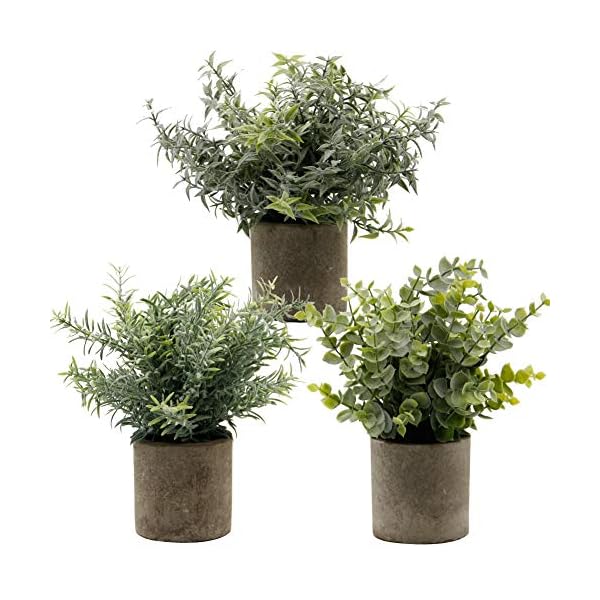 Zcaukya Small Potted Artificial Plants, Artificial Eucalyptus Plants Fake Rosemary Carnation Caronation 9.5" Plastic Greenery Plants for Home Office Garden Decor, Indoor & Outdoor, Set of 3