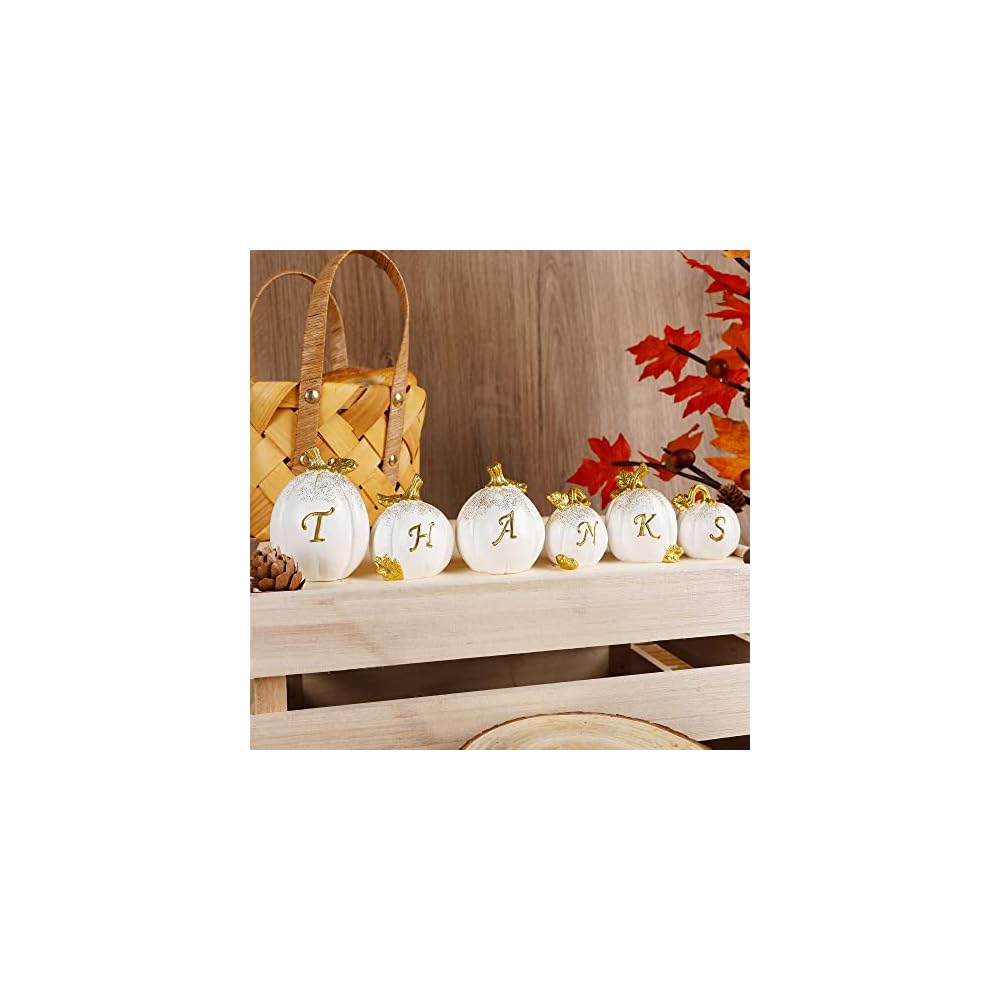 winemana Thanksgiving Pumpkins Set of 6, Fall Decor Resin Pumpkin, Thanks Tabletop Centerpieces Tiered Tray Decorations for Home Table Kitchen Office (White)