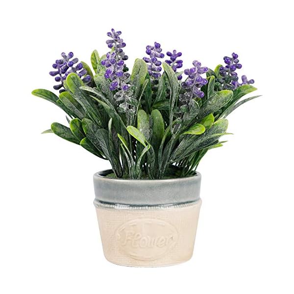 winemana Artificial Lavender Potted Plants, 9 X 8 X 3.8 in, Faux Flower Modern Farmhouse Decor, Country Decor, Plump Particles, Durable for Lawn Home Office Indoor Outdoor