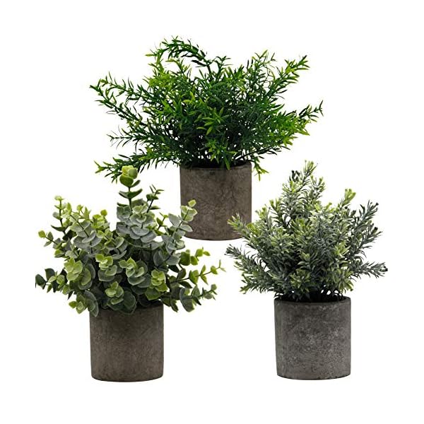 Zcaukya Small Potted Artificial Plants, Artificial Eucalyptus Plants Fake Rosemary 9.5" Plastic Greenery Plants for Home Office Garden Decor, Indoor & Outdoor, Set of 3