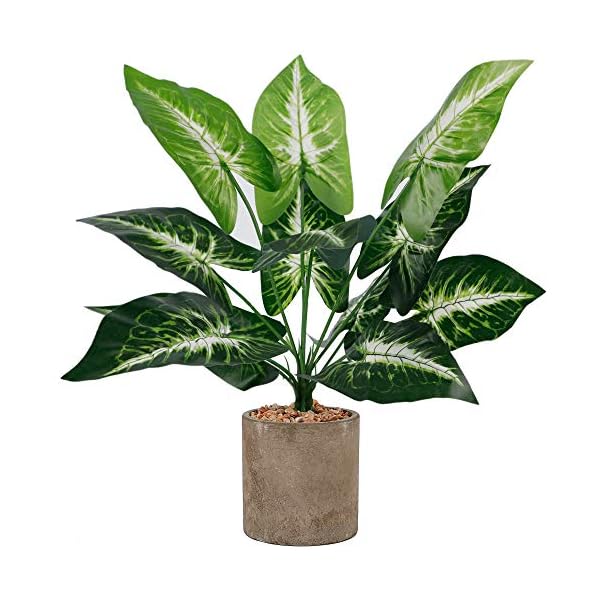 winemana 18" Artificial Potted Green Leaf Plants in Pot, Fake Small Houseplants for Indoor, Home, Living Room, Office, Tabletop, Desk