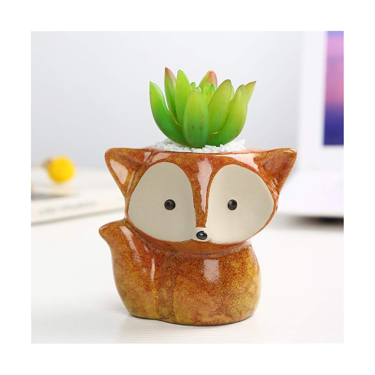 winemana Set of 4 Germination Trays Succulent Pots, Fox Shaped Flowerpot, Colorful Bonsai Planter Container - imagem de detalhe 6