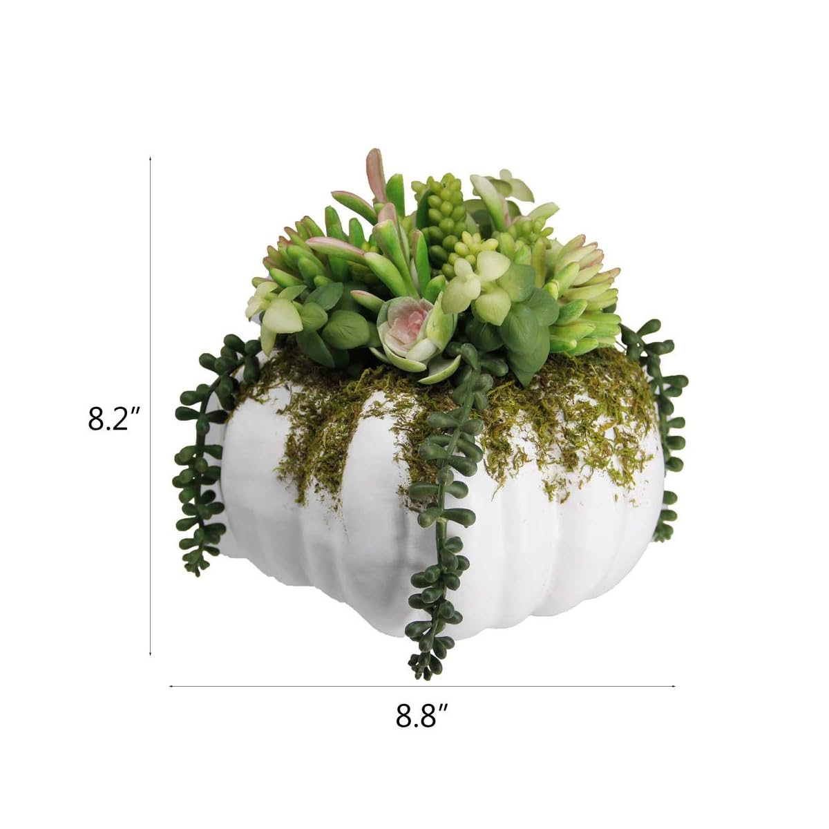 winemana Thanksgiving Decorations Pumpkin with Artificial Succulents, 8.8" x 8.2" White Foam Pumpkin and Plastic Succulents Fall Autumn Decor for Office Bedroom Kitchen Thanksgiving Party Harvest Day - 细节图 1