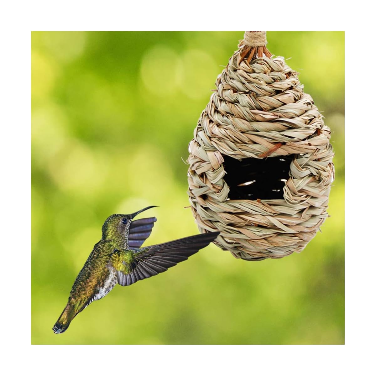 winemana Hand Woven Hummingbird House, Set of 3 Bird Hut 9" x 4", Outside Grass Hanging Bird Hut, Natural Hummingbird Nest for Outdoor. - detail image 5