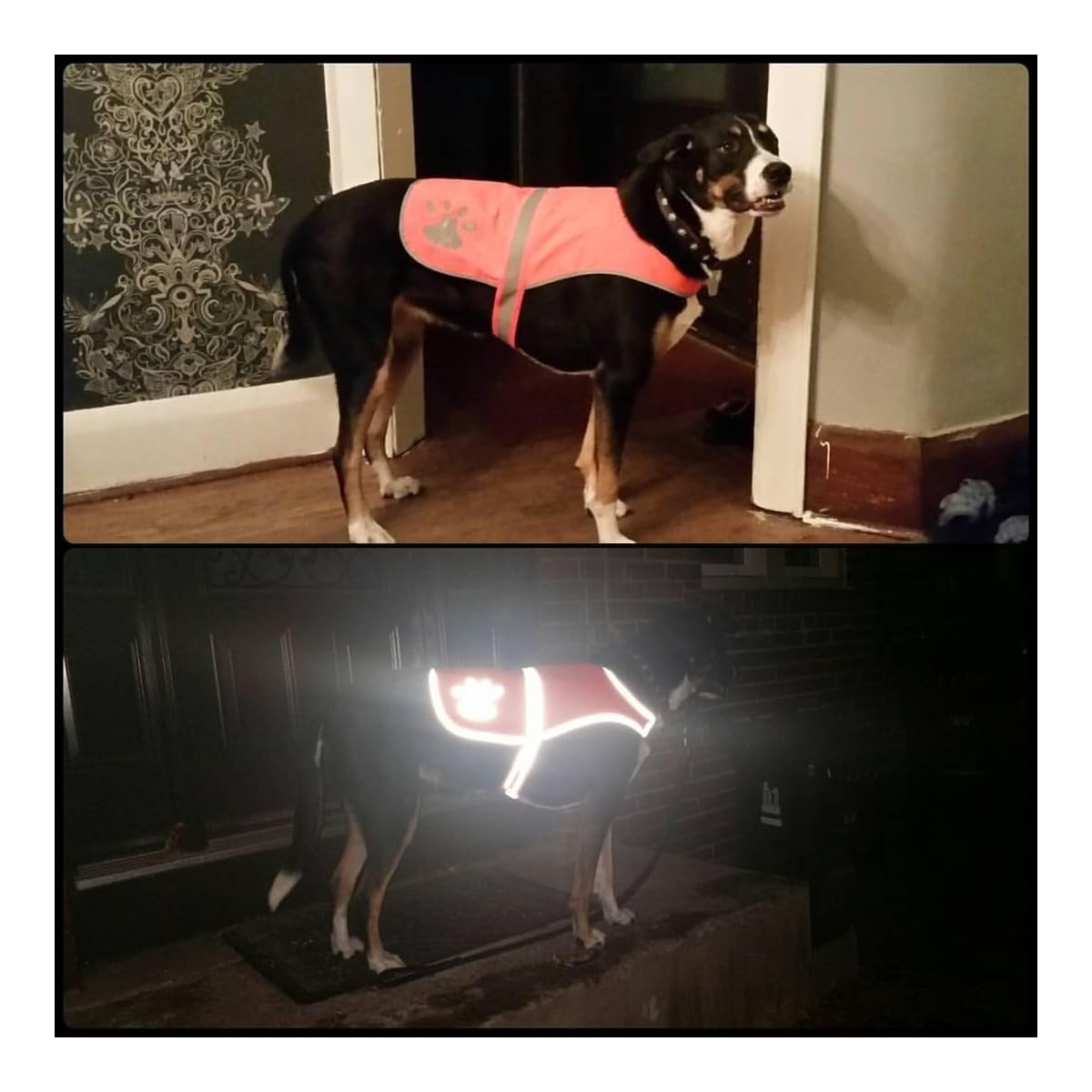 Maggift Dog Reflective Vest,Pet Safety Vest Orange (S) - imagen de detalle 3