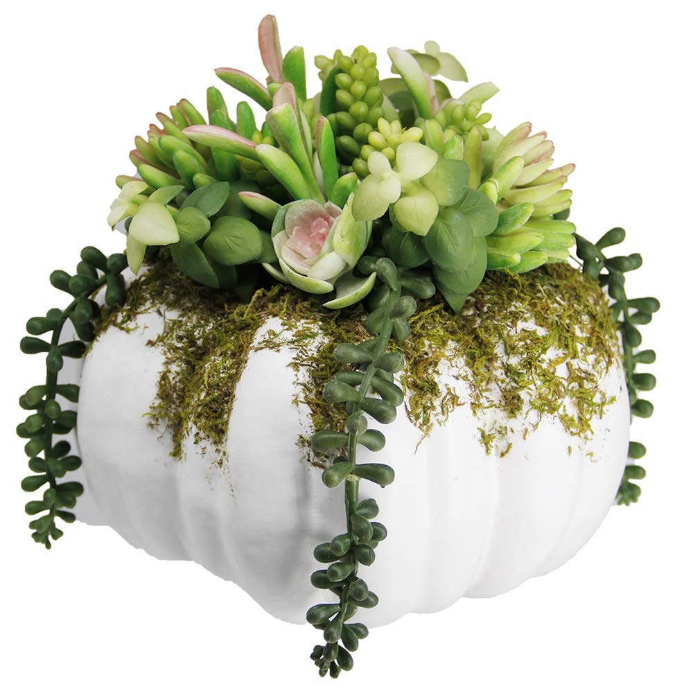 winemana Thanksgiving Decorations Pumpkin with Artificial Succulents, 8.8" x 8.2" White Foam Pumpkin and Plastic Succulents Fall Autumn Decor for Office Bedroom Kitchen Thanksgiving Party Harvest Day