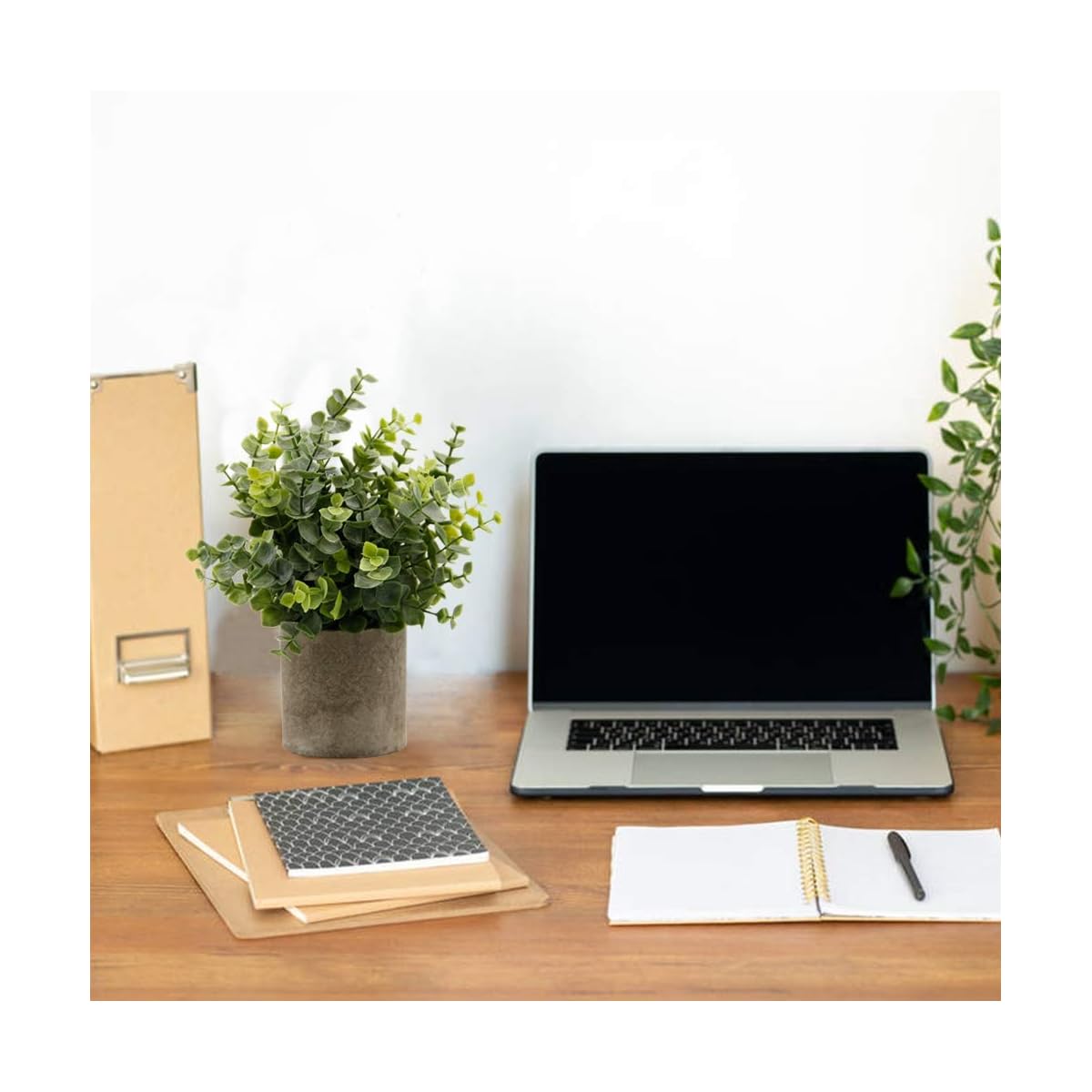Zcaukya Small Potted Artificial Plants, Artificial Eucalyptus Plants Fake Rosemary 9.5" Plastic Greenery Plants for Home Office Garden Decor, Indoor & Outdoor, Set of 3 (White) - 细节图 5