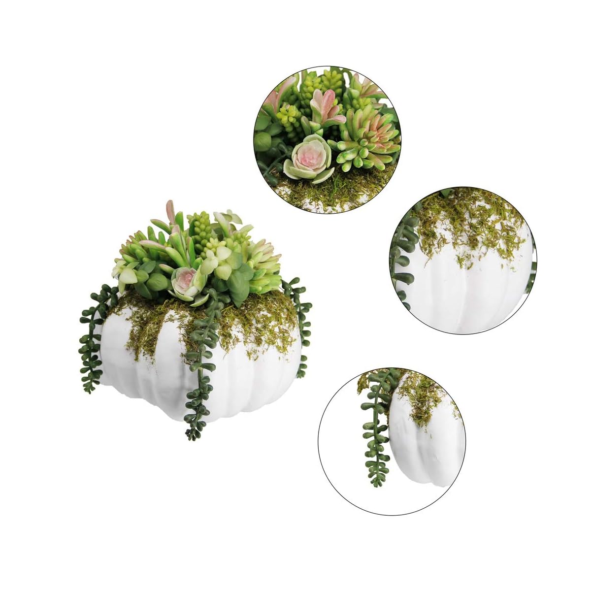 winemana Thanksgiving Decorations Pumpkin with Artificial Succulents, 8.8" x 8.2" White Foam Pumpkin and Plastic Succulents Fall Autumn Decor for Office Bedroom Kitchen Thanksgiving Party Harvest Day - 细节图 2