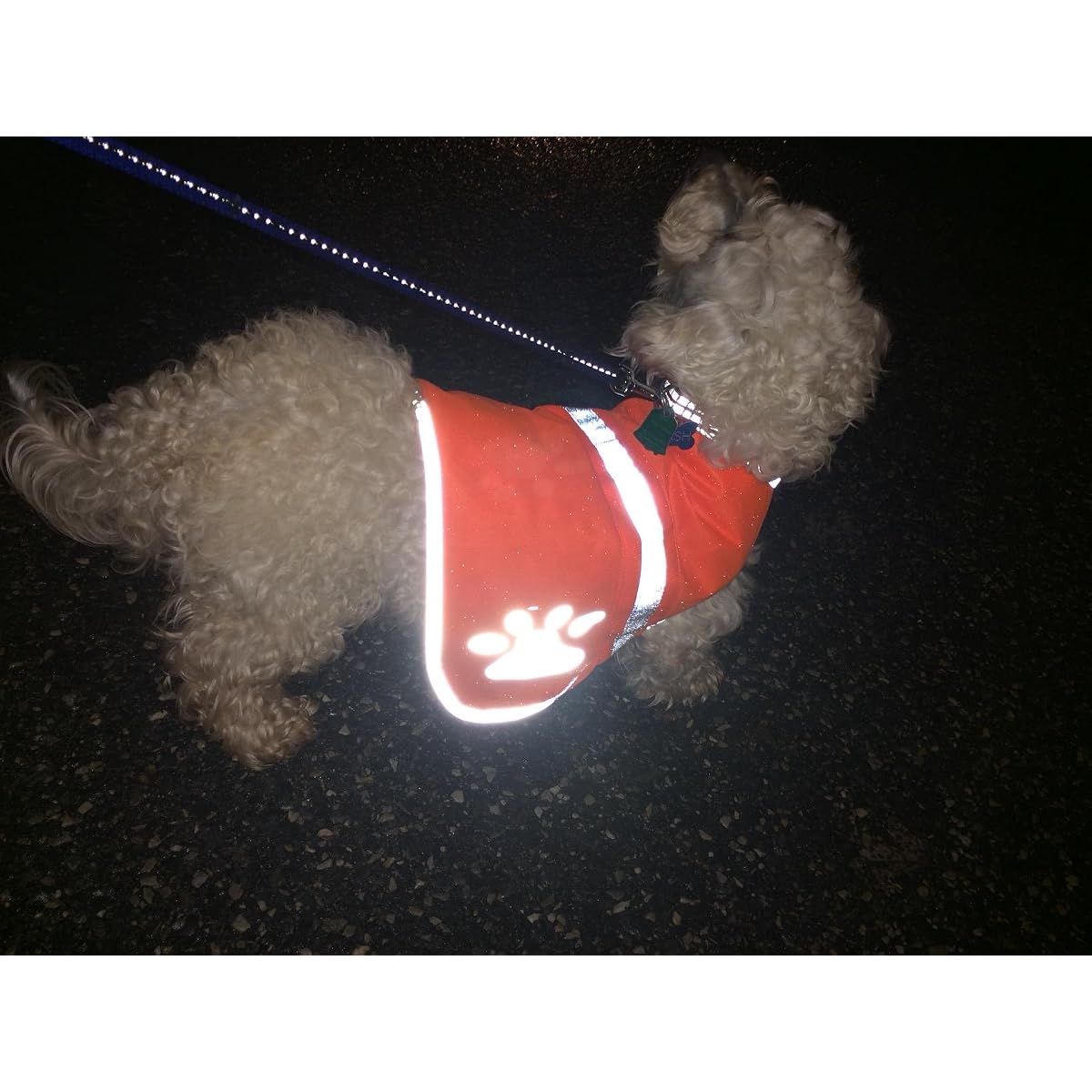Maggift Dog Reflective Vest,Pet Safety Vest Orange (S) - imagen de detalle 4