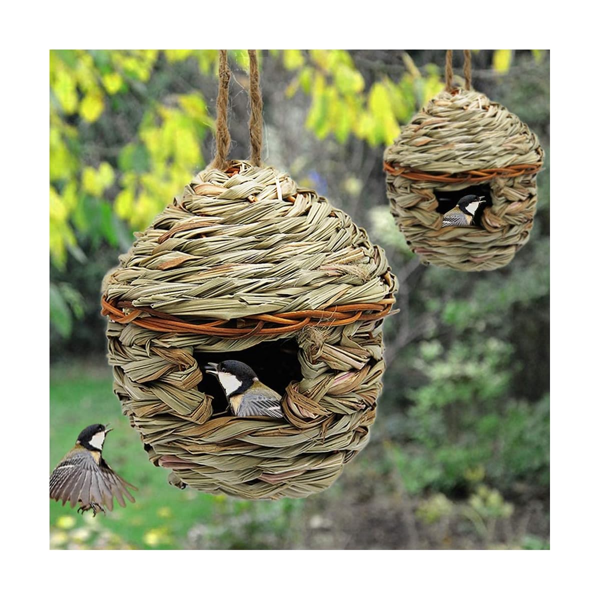 winemana Grass Hand Woven Birdhouse, Outside Grass Hanging Bird Hut, Natural Hummingbird Nest for Outdoor, 2 Pack (Reed) - imagen de detalle 4