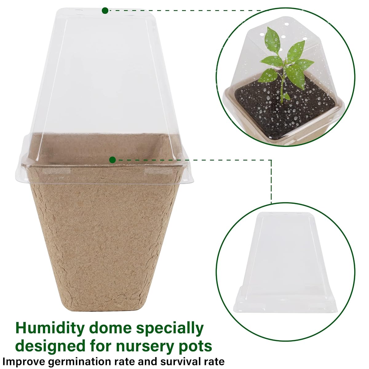 winemana Seed Starter Peat Pots,Biodegradable with Humidity Dome and Labels For Plant Nursery, Seedlings Planting For Indoor Outdoor Garden (Square)36 Set - detail image 2