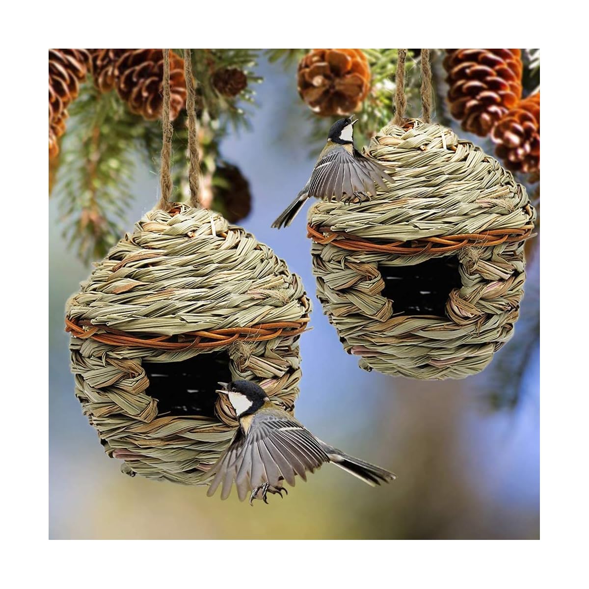 winemana Grass Hand Woven Birdhouse, Outside Grass Hanging Bird Hut, Natural Hummingbird Nest for Outdoor, 2 Pack (Reed) - imagen de detalle 5