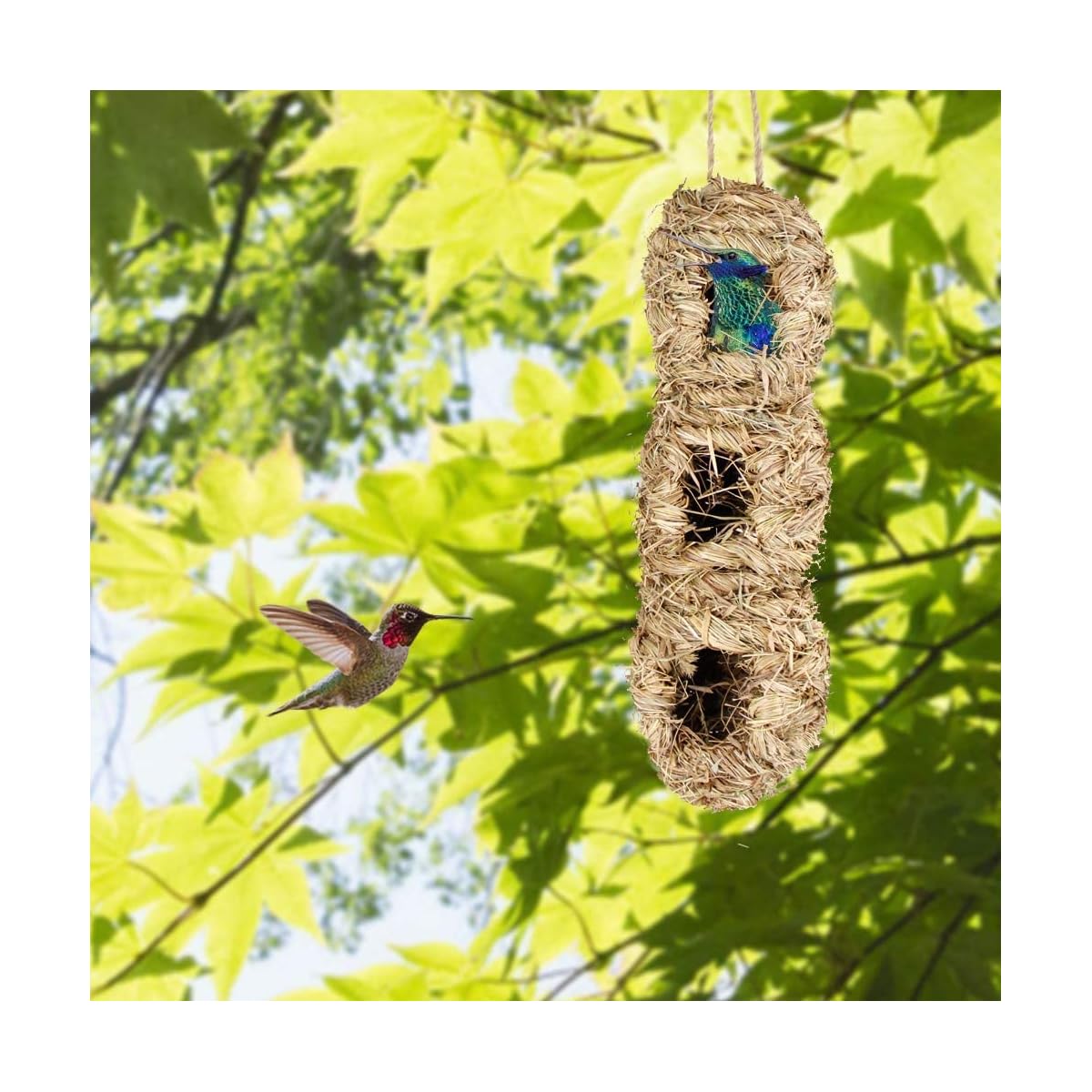 winemana Hand Woven Hummingbird House, Set of 2 Bird Hut 12" x 4", Outside Grass Hanging Bird Hut, Hanging Hummingbird Houses with 3 Holes - imagem de detalhe 6