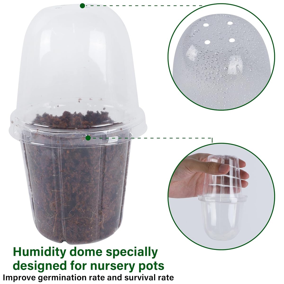 winemana 36 Set Nursery Pots with Humidity Dome, Clear Nursery Pots for Plants, Seed Starting Pots with Drainage Holes & Plant Labels for Vegetables Flowers Garden Plants - 细节图 2