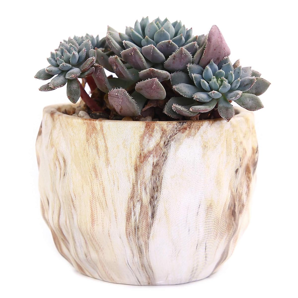 winemana Set of 4 Modern Style Marbling Ceramic Flower Pot Succulent Cactus Bonsai Planter Pots Container (Marbling Container) - imagen de detalle 3