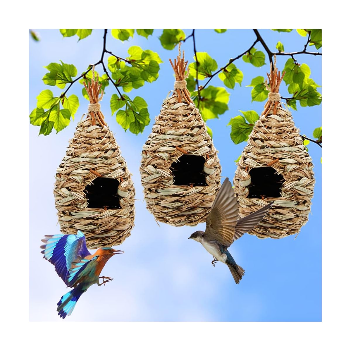 winemana Hand Woven Hummingbird House, Set of 3 Bird Hut 9" x 4", Outside Grass Hanging Bird Hut, Natural Hummingbird Nest for Outdoor. - detail image 6