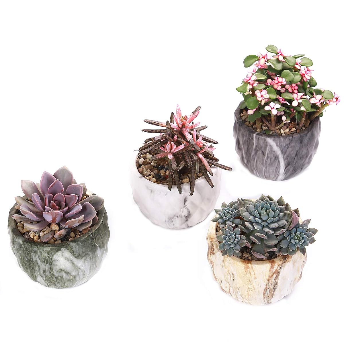 winemana Set of 4 Modern Style Marbling Ceramic Flower Pot Succulent Cactus Bonsai Planter Pots Container (Marbling Container) - imagen de detalle 1