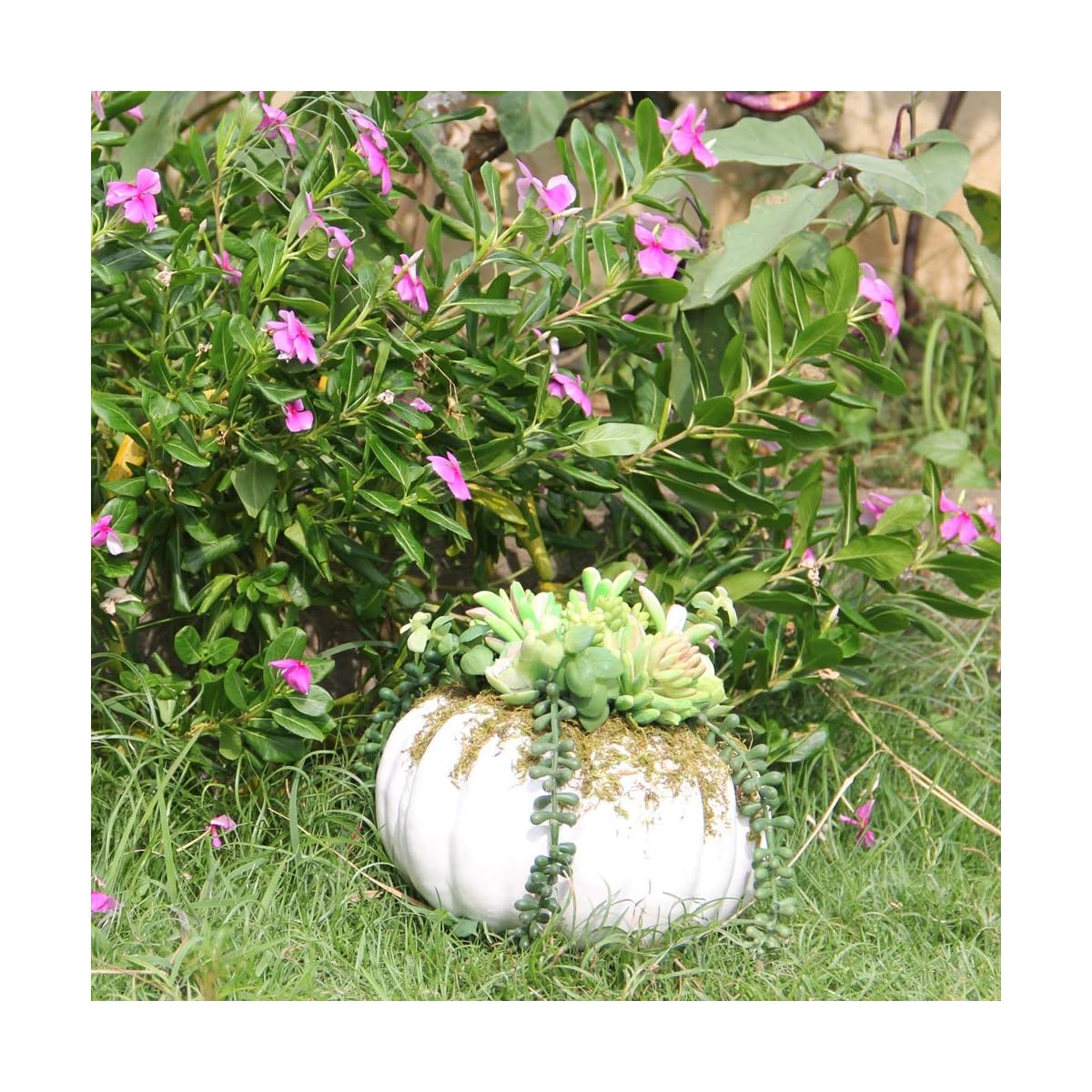 winemana Thanksgiving Decorations Pumpkin with Artificial Succulents, 8.8" x 8.2" White Foam Pumpkin and Plastic Succulents Fall Autumn Decor for Office Bedroom Kitchen Thanksgiving Party Harvest Day - 细节图 4