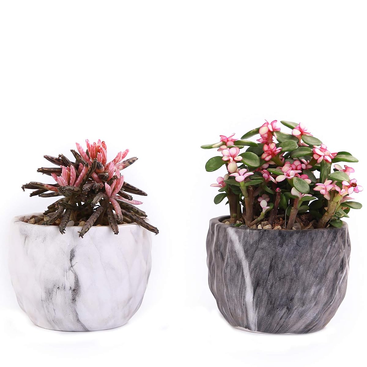 winemana Set of 4 Modern Style Marbling Ceramic Flower Pot Succulent Cactus Bonsai Planter Pots Container (Marbling Container) - imagen de detalle 2