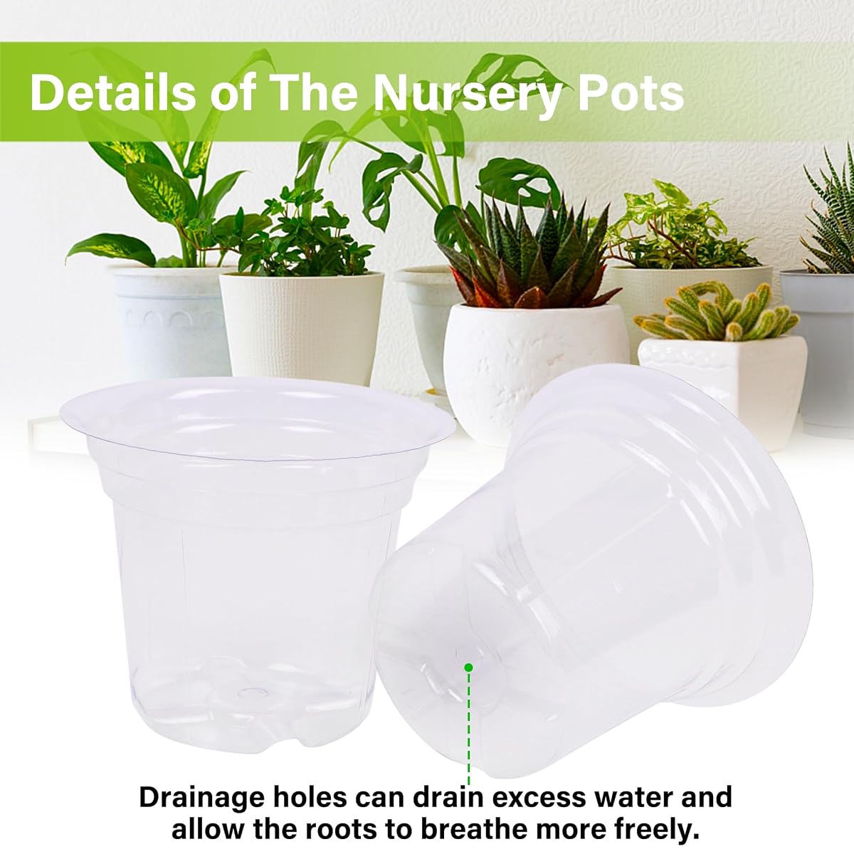 winemana 4 Inch Seed Starter Tray for Vegetable Herb Lettuce Seeds, Plant Pots for Potting Soil Indoor Plants, Clear Nursery Pots Plastic Planting Pots Garden Flower Pots- 60 Packs - detail image 3