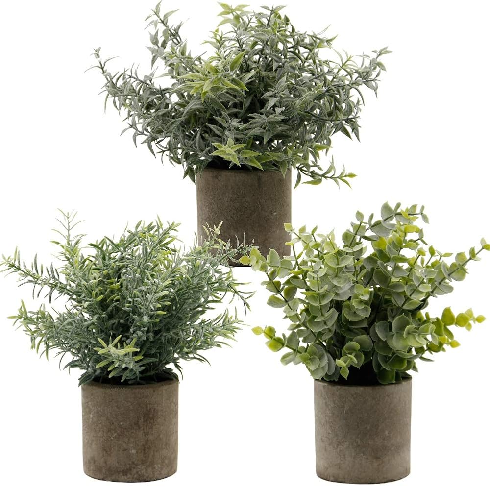 Zcaukya Small Potted Artificial Plants, Artificial Eucalyptus Plants Fake Rosemary Carnation Caronation 9.5" Plastic Greenery Plants for Home Office Garden Decor, Indoor & Outdoor, Set of 3