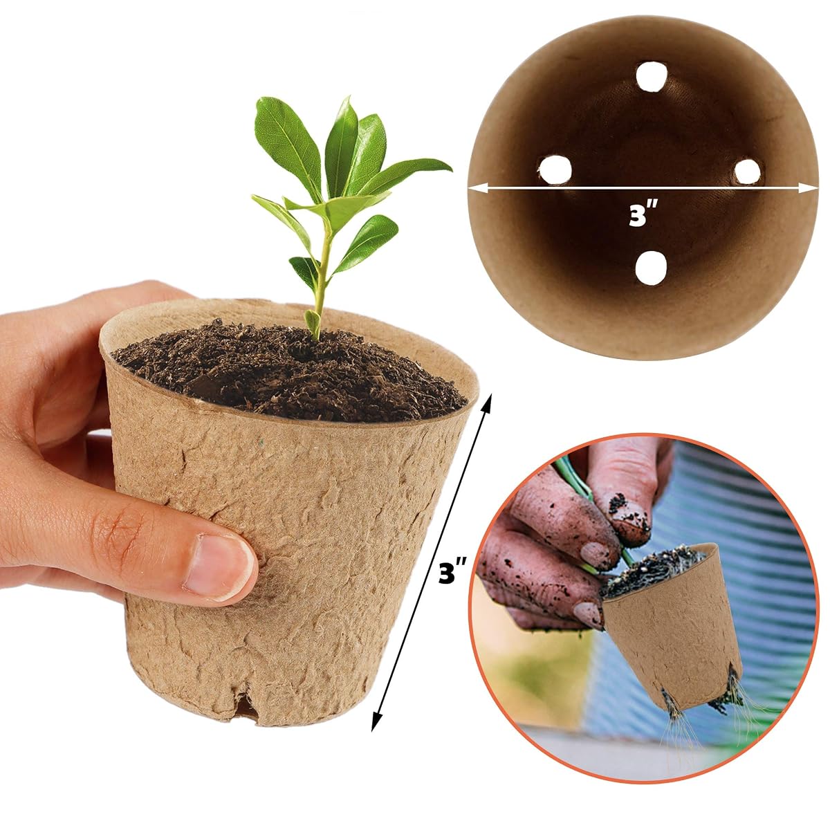 winemana 100 Pack Seed Starter Tray Kit, Biodegradable Peat Pots for Seedling with 100 Plant Labels, Plant Garden Germination Tray for Flower Vegetables Succulents (3" x 3") - imagen de detalle 3