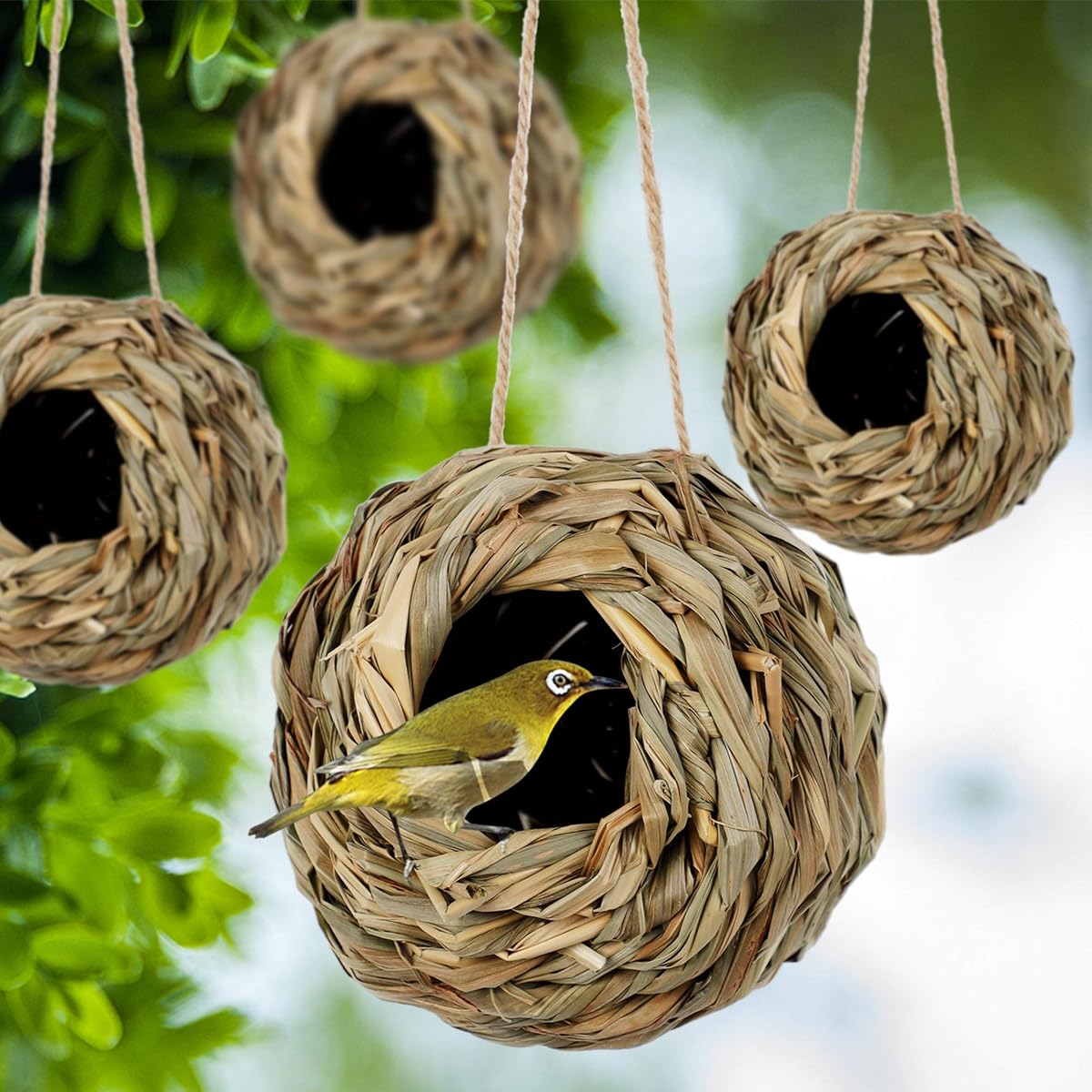 winemana 4 Pack Hanging Bird Nest House for Outside, Ball Shape, Hand Woven, Durable Sturdy, Made of Natural Grass, Perfect for Garden Patio Lawn Office Indoor - imagem de detalhe 6