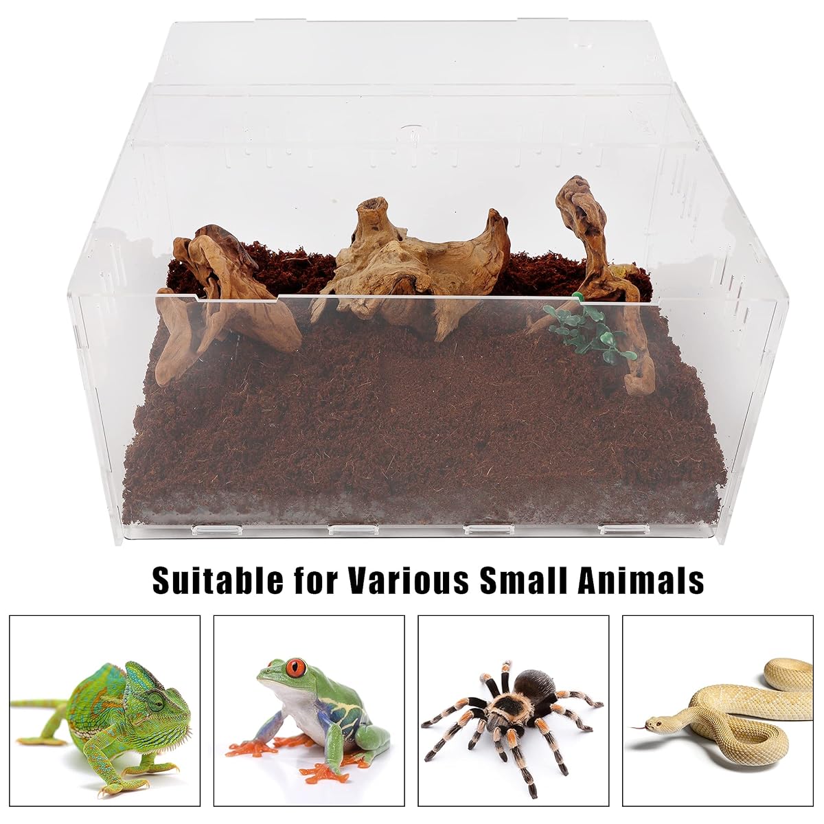 winemana Reptile Terrarium, Tarantula Enclosure, 16" x 11" x 6" Acrylic Large Feeding Tarantula Habitat Box for Small Animals Insect Home Office - imagem de detalhe 2