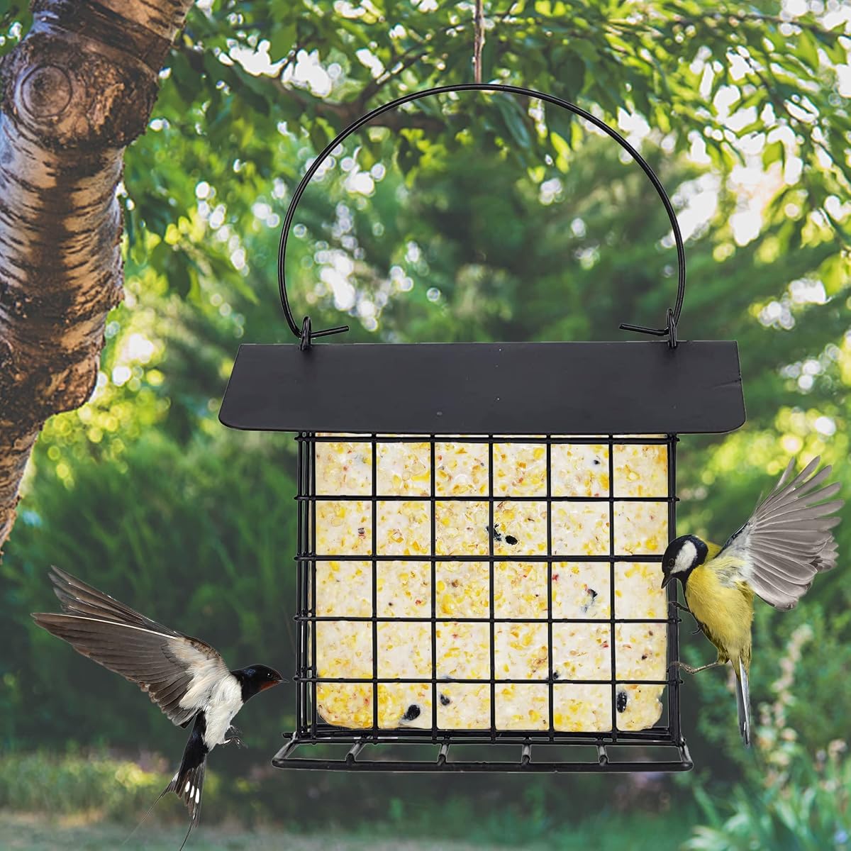 winemana Suet Feeder for Outside Hanging, Metal Suet Cake Holder Squirrel Proof, Weatherproof Bird Feeders for Wild Birds Woodpecker, Single Suet Cage for Outdoor Garden - imagem de detalhe 3