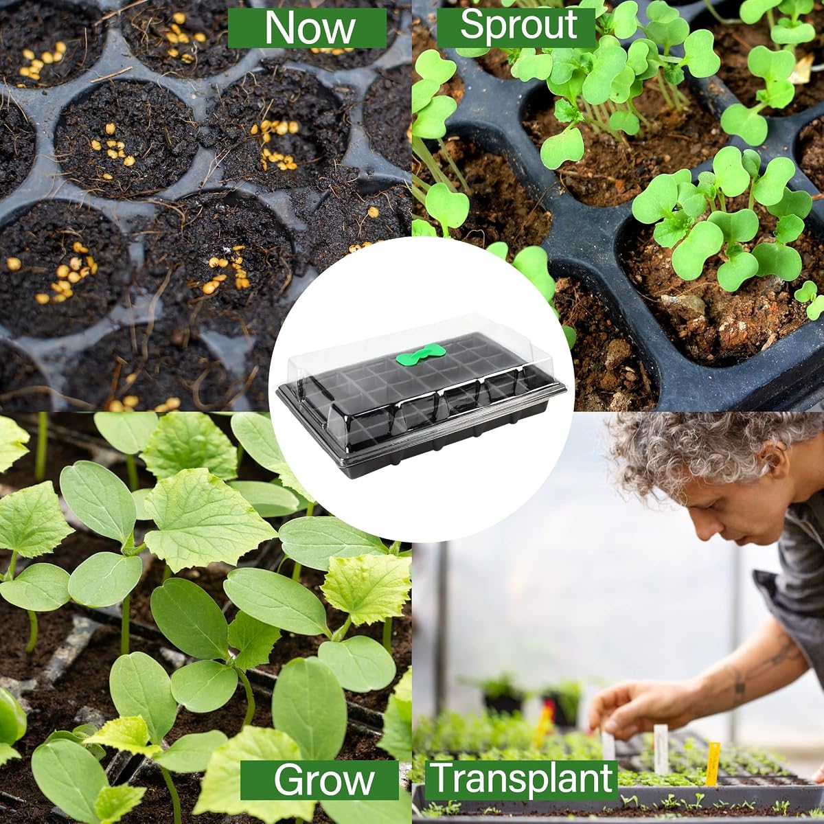 winemana 5 Set Seed Starter Trays with Humidity Dome, 200 Cell Grow Trays Seedlings Plant Staring Trays with Labels, Garden Propagator Set, Mini Greenhouse Germination Kit for Seed Growing - 细节图 6