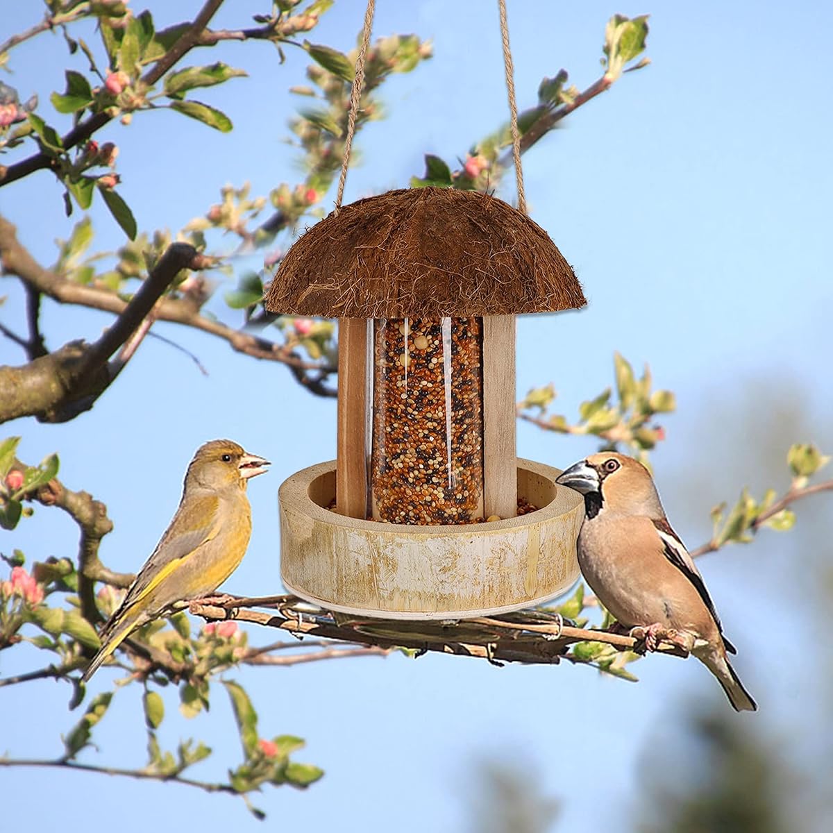 winemana Hanging Bird Feeder, Natural Coconut Bamboo Birdhouse Attract Birds Decorations for Outdoor Garden Yard - imagem de detalhe 5