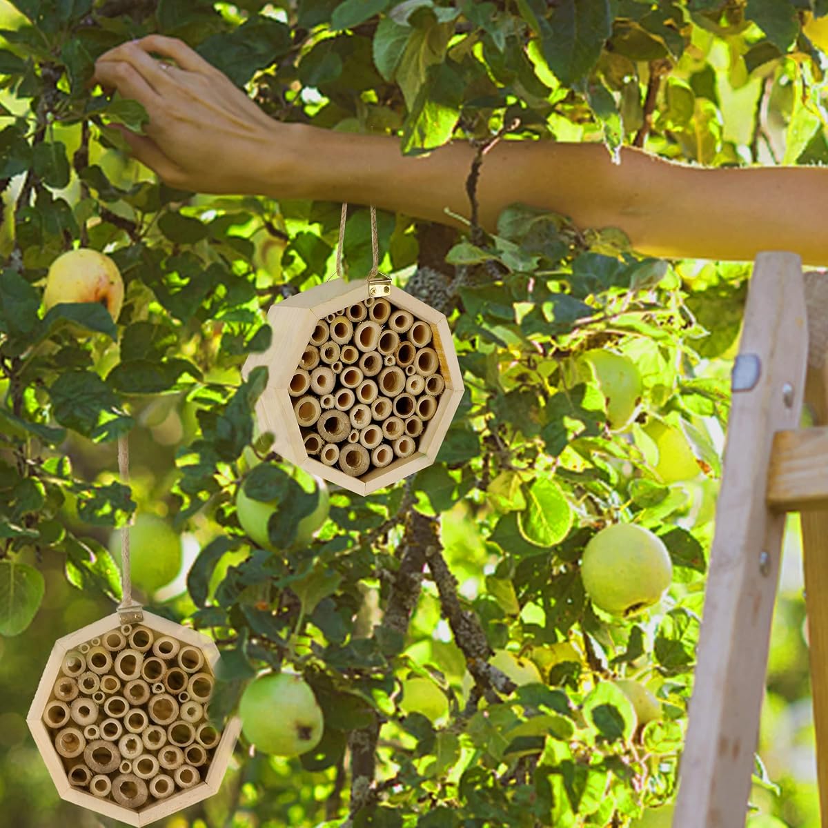 winemana Bee Hive Natural Bamboo Bee House, 5.9" Mason Bee House Habitat Honey Bee Hive, Perfect for Bee Pollinator in Garden Yard - imagem de detalhe 4