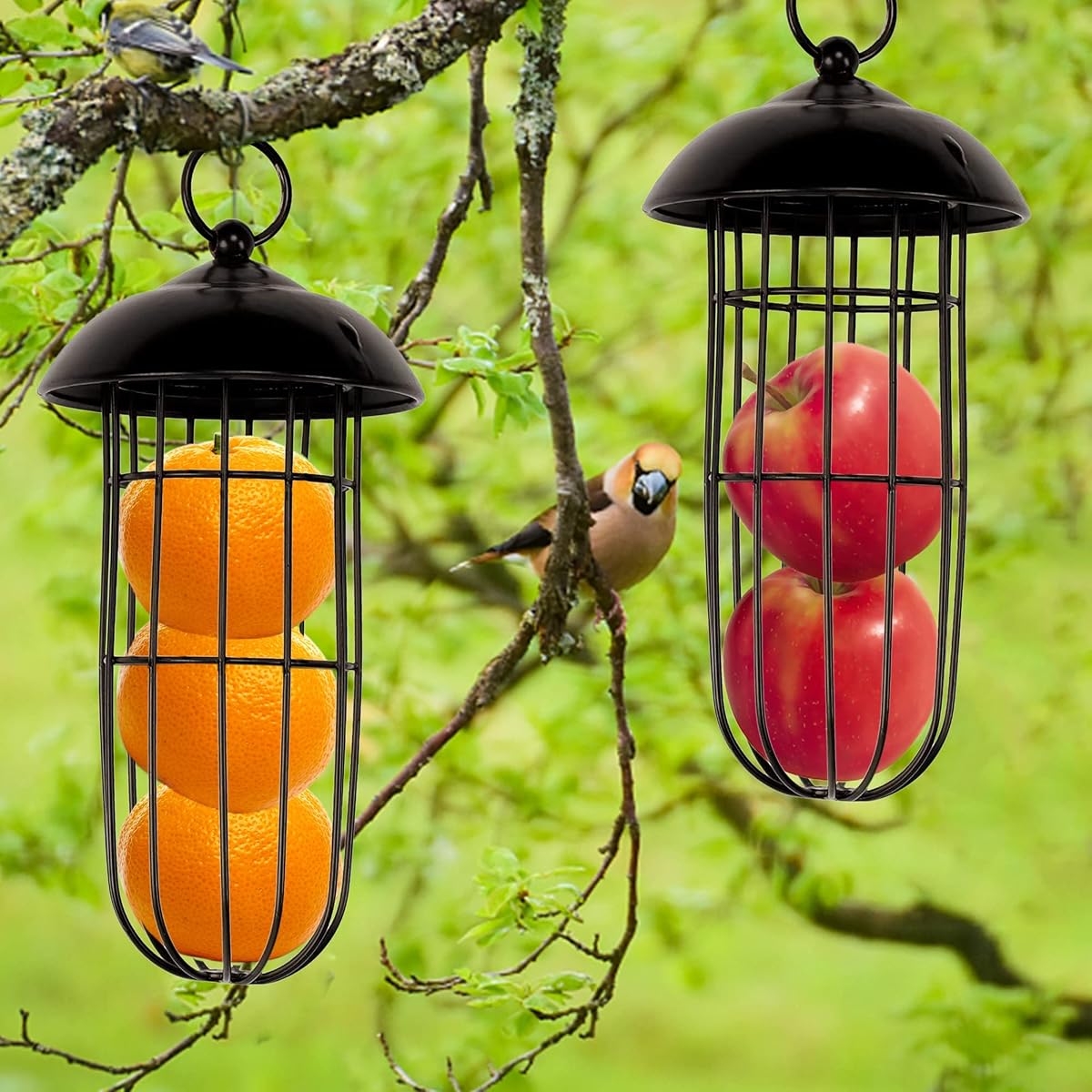 winemana Set of 2 Outdoor Wild Bird Feeder, Squirrel Proof, Hanging Fat Ball Holder Metal Feeding Tool for Birds - imagem de detalhe 5