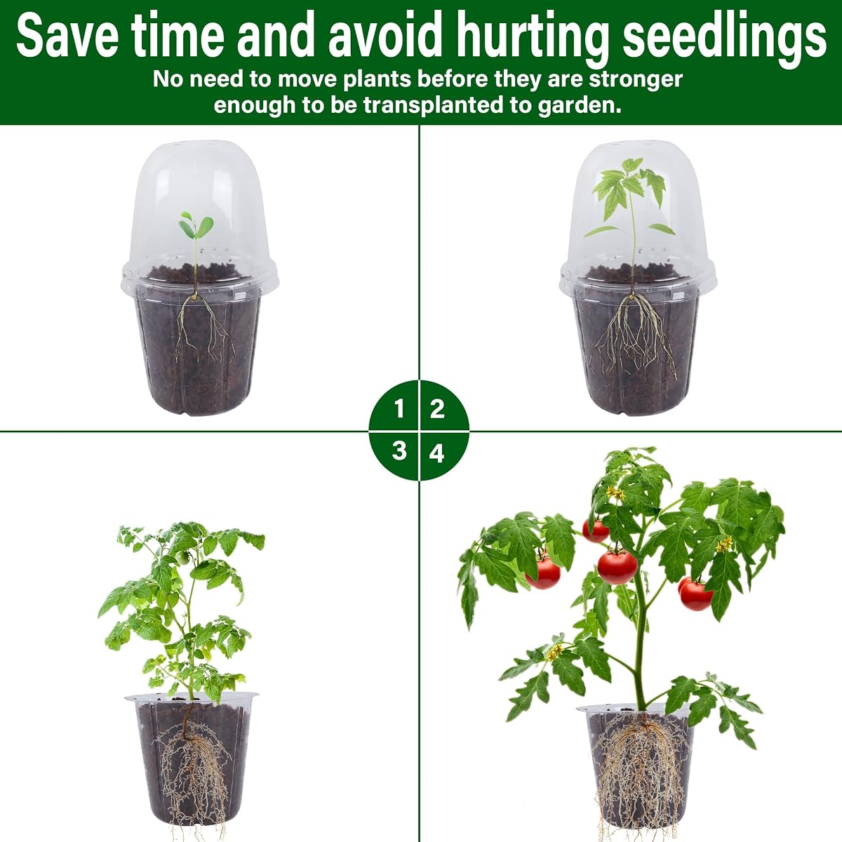 winemana 36 Set Nursery Pots with Humidity Dome, Clear Nursery Pots for Plants, Seed Starting Pots with Drainage Holes & Plant Labels for Vegetables Flowers Garden Plants - 细节图 4