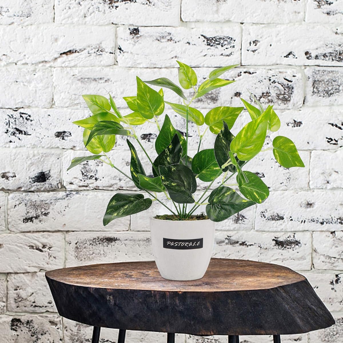 winemana 13.4 inches Artificial Potted Greenery Green Leaf Plants Small Plants for Office Desk Indoor Outdoor Decoration - imagen de detalle 6