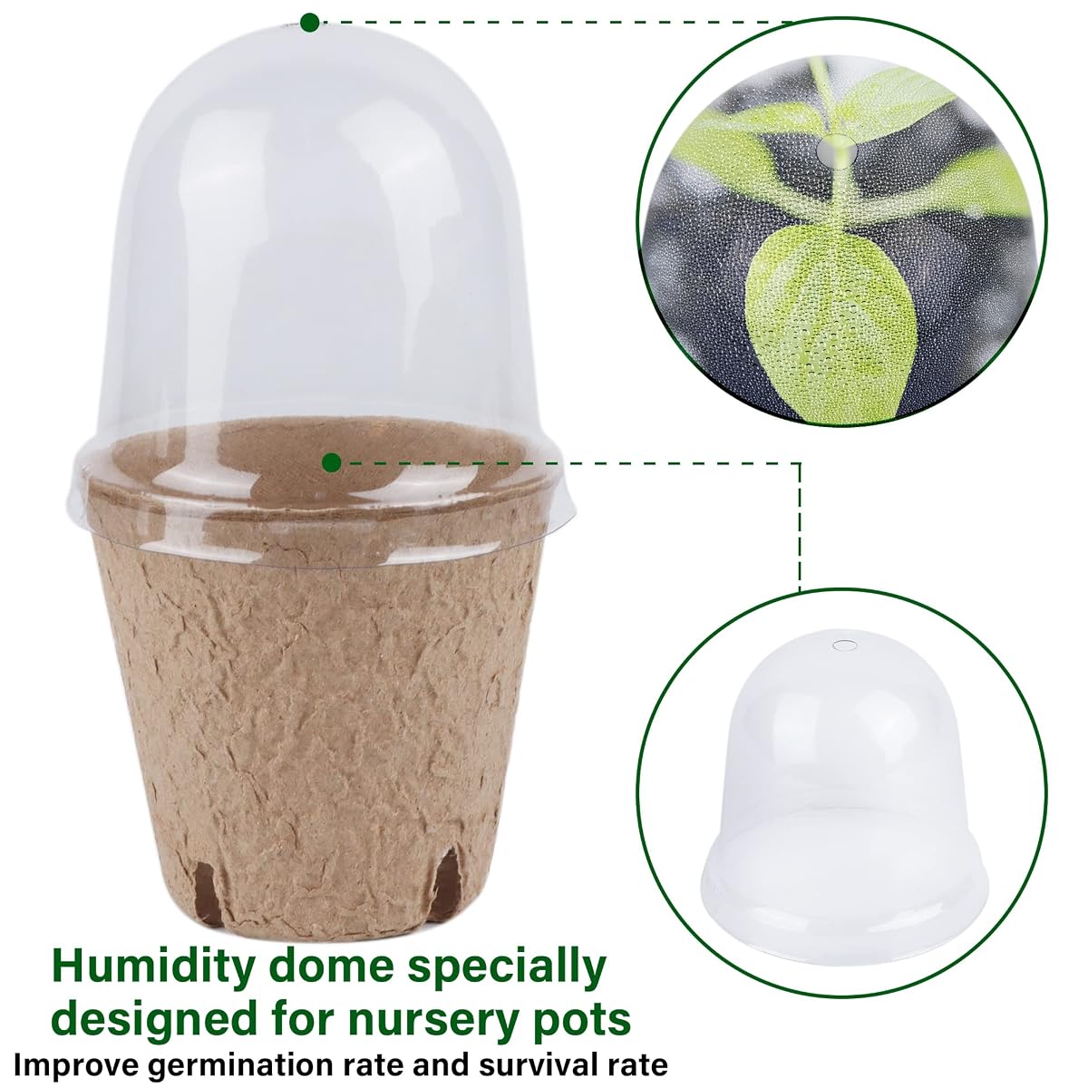 winemana 36 Set Plant Nursery Pots with Humidity Dome, Seed Starter Biodegradable Peat Pots, Seedlings Planting Pots with Labels for Indoor Outdoor Garden - detail image 2