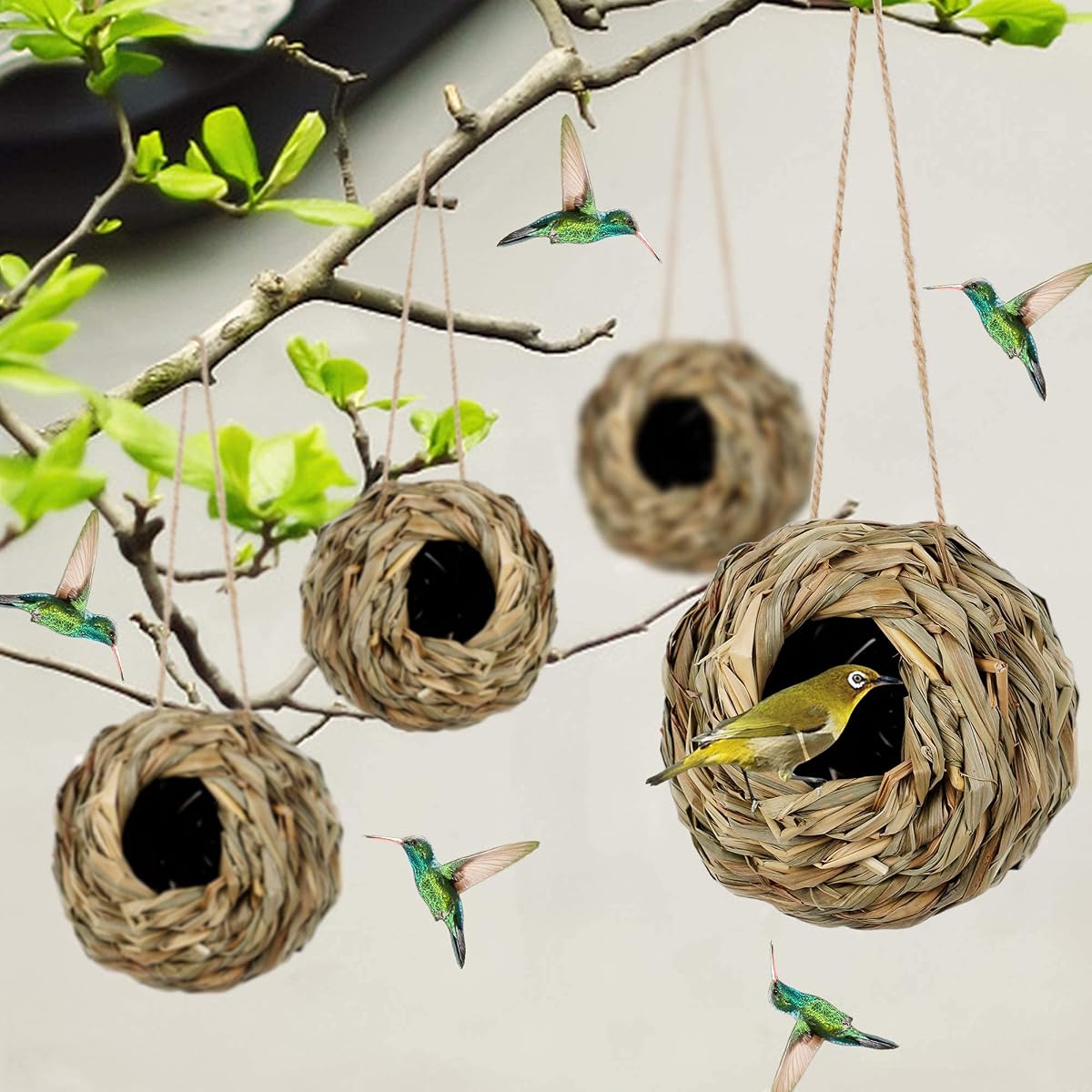 winemana 4 Pack Hanging Bird Nest House for Outside, Ball Shape, Hand Woven, Durable Sturdy, Made of Natural Grass, Perfect for Garden Patio Lawn Office Indoor - imagem de detalhe 5