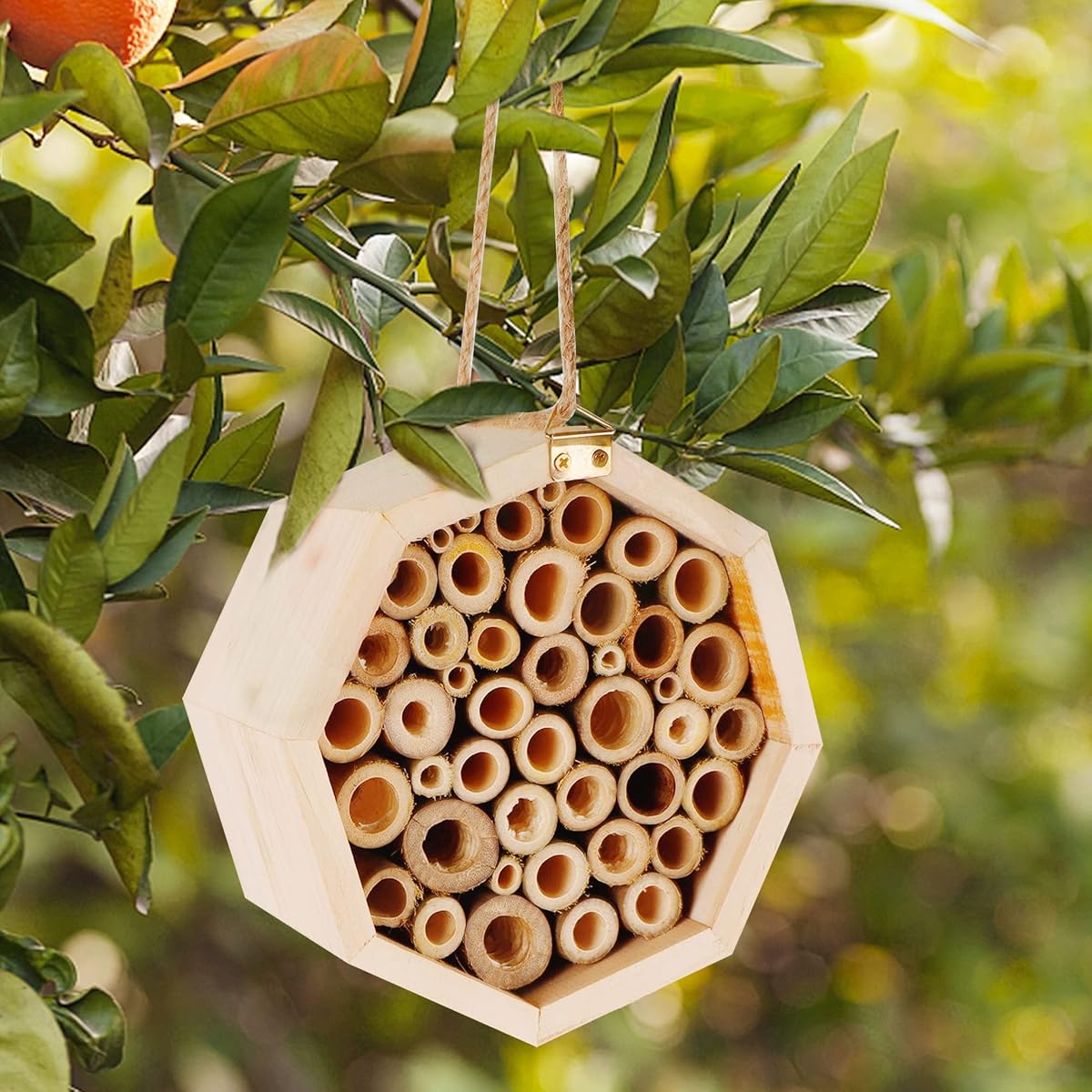winemana Bee Hive Natural Bamboo Bee House, 5.9" Mason Bee House Habitat Honey Bee Hive, Perfect for Bee Pollinator in Garden Yard - imagem de detalhe 3